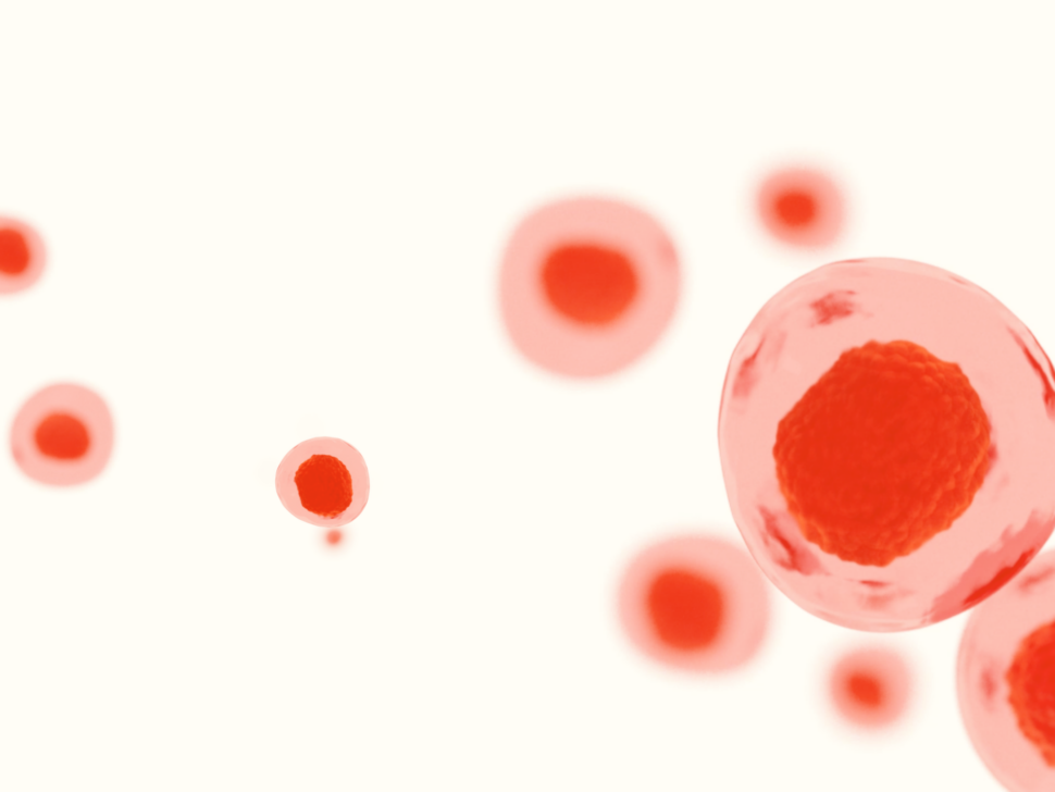 The UPshot: What do cells eat?