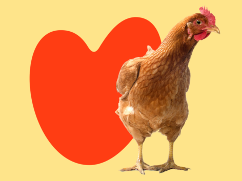 UPSIDE Foods - Make Meat Right